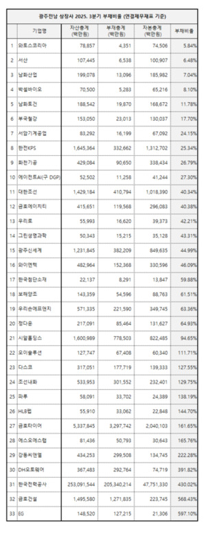 [호남기업 3분기③] 광주·전남 상장사 올해 3분기 부채비율 분석...'극... - 뉴스 썸네일 이미지