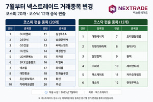하반기 NXT 거래종목 조정...카카오·대한항공 등 32개 종목 '편출' - 뉴스 썸네일 이미지