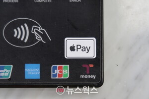 PG사 부정결제 공동대응 나선다...금감원, 표준지침 마련 추진 - 뉴스 썸네일 이미지